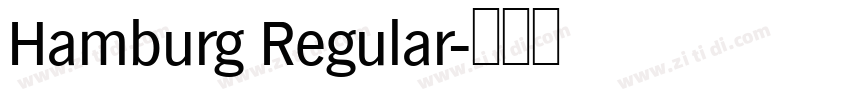 Hamburg Regular字体转换